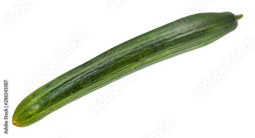 green long cucumber isolated on white