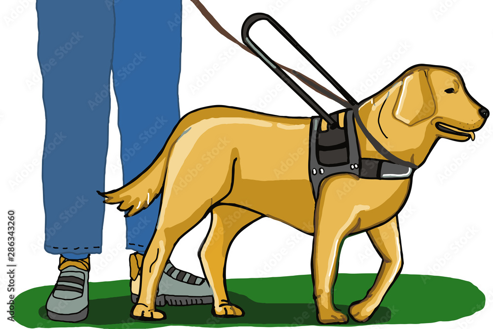 realistic cartoon guide dog with man isolated illustration drawing Stock  Illustration | Adobe Stock