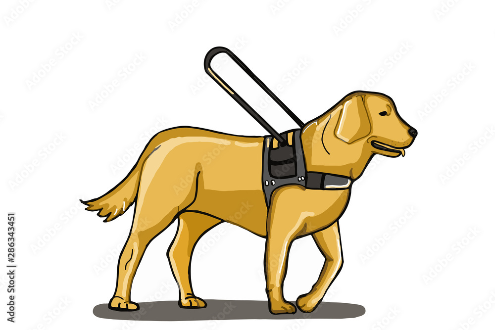 realistic cartoon guide dog isolated illustration drawing Stock  Illustration | Adobe Stock