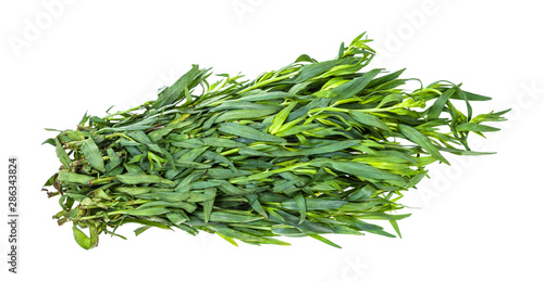 Bild auf Leinwand bunch of fresh tarragon (estragon) isolated