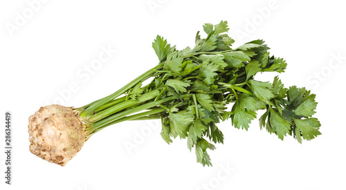 single fresh celeriac (celery root) with greens