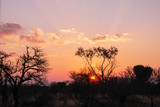 The sun sets over African landscape in the Limpopo Province of South Africa