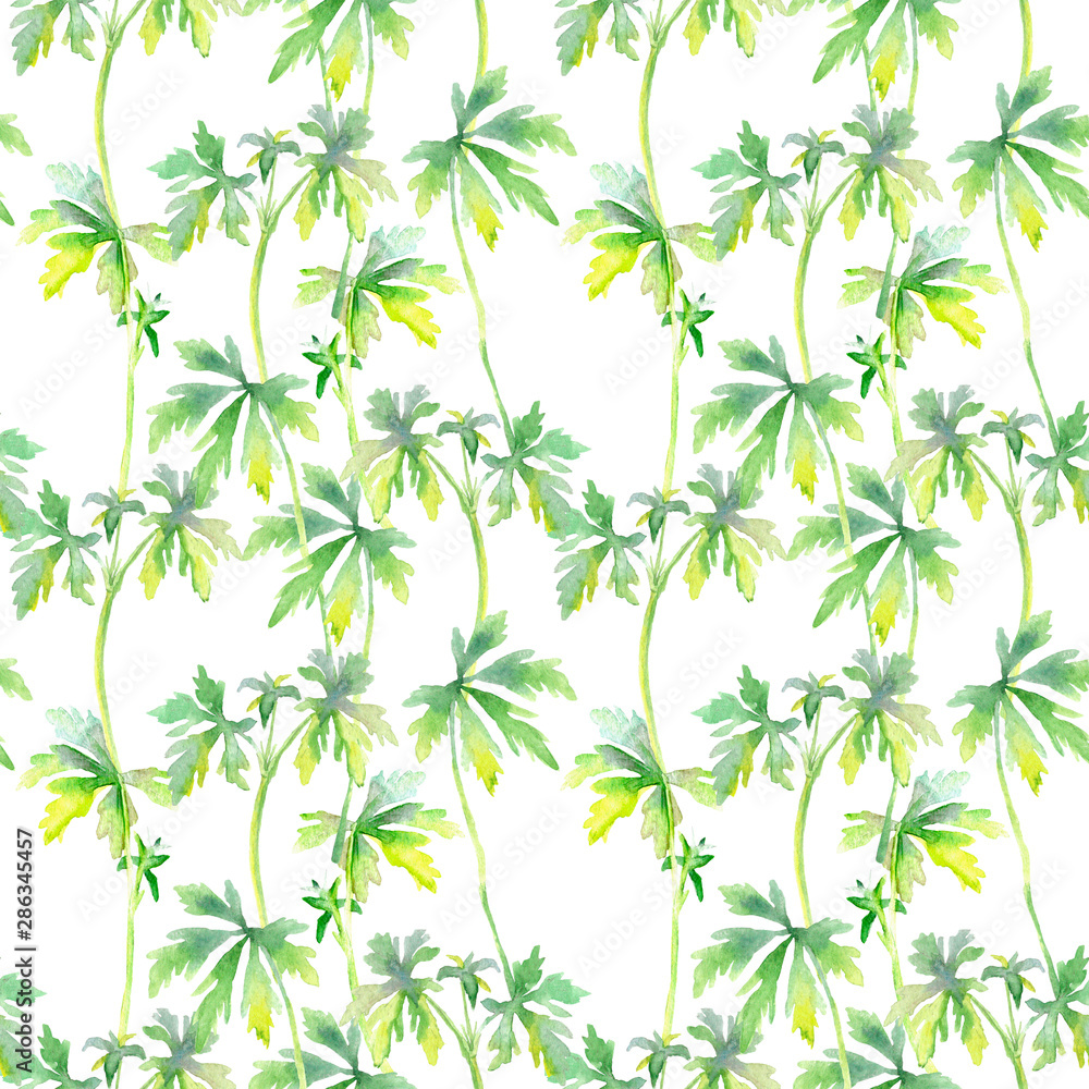 Seamless field herbs background, repeatable pattern with leaves on white background