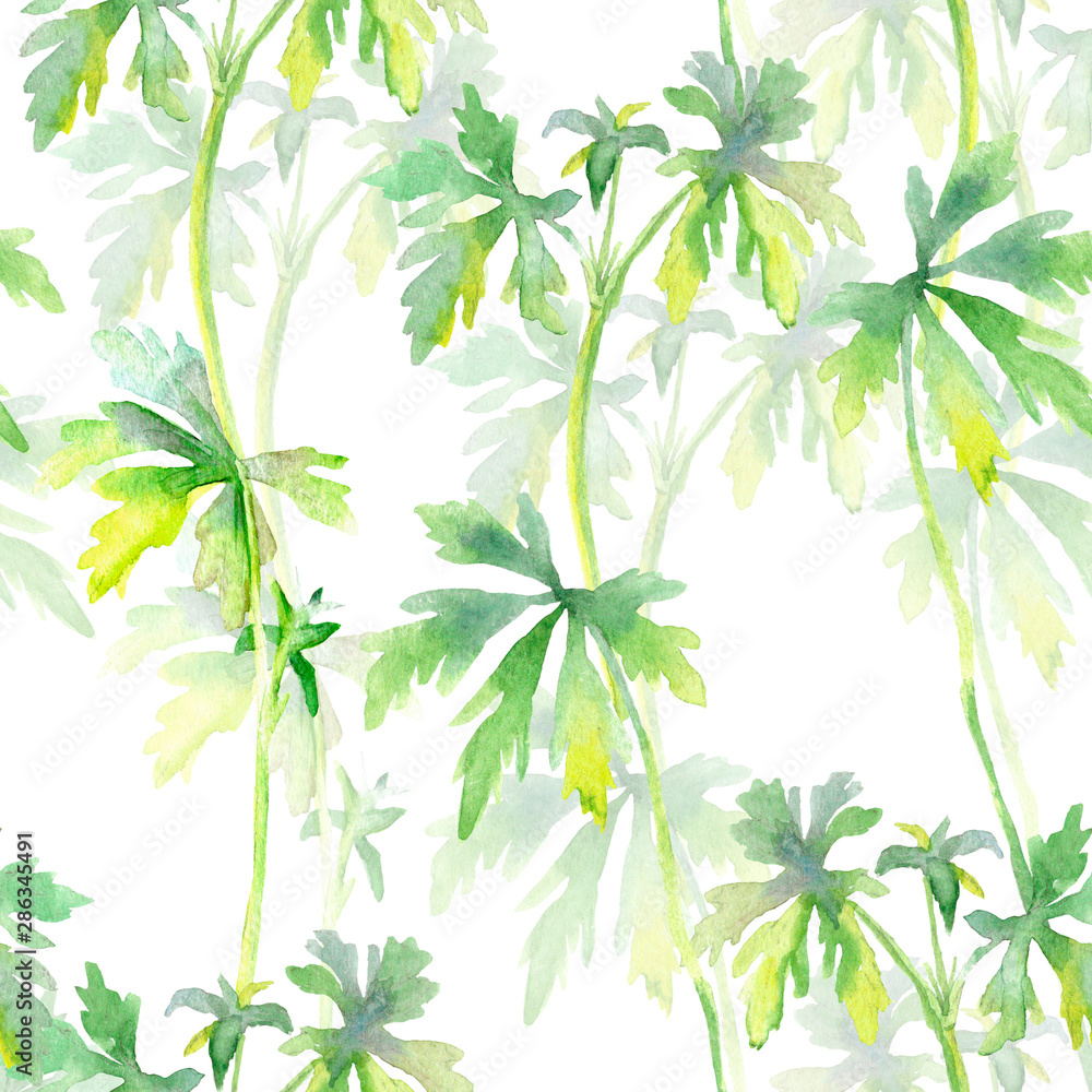 Seamless pattern with wild herbs on white background