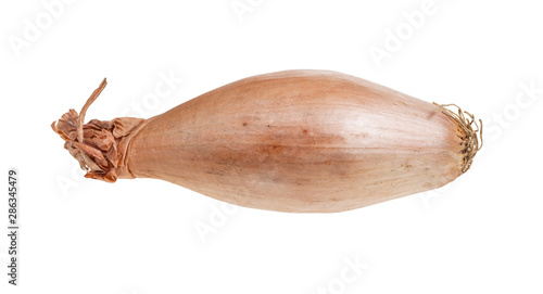 Foto ripe bulb of shallot onion isolated on white
