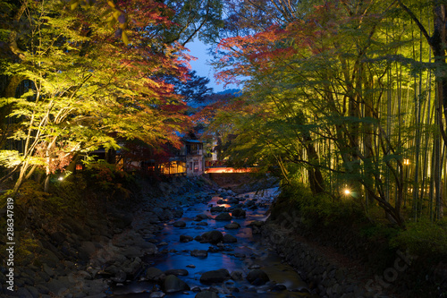 修善寺 桂川の夜景 © T-Kai