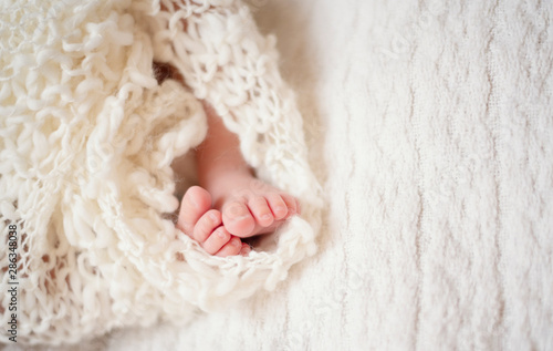 Newborn Baby Feet. Newborn Child. Baby Legs In Knitted Blanket. Beige Nude Background