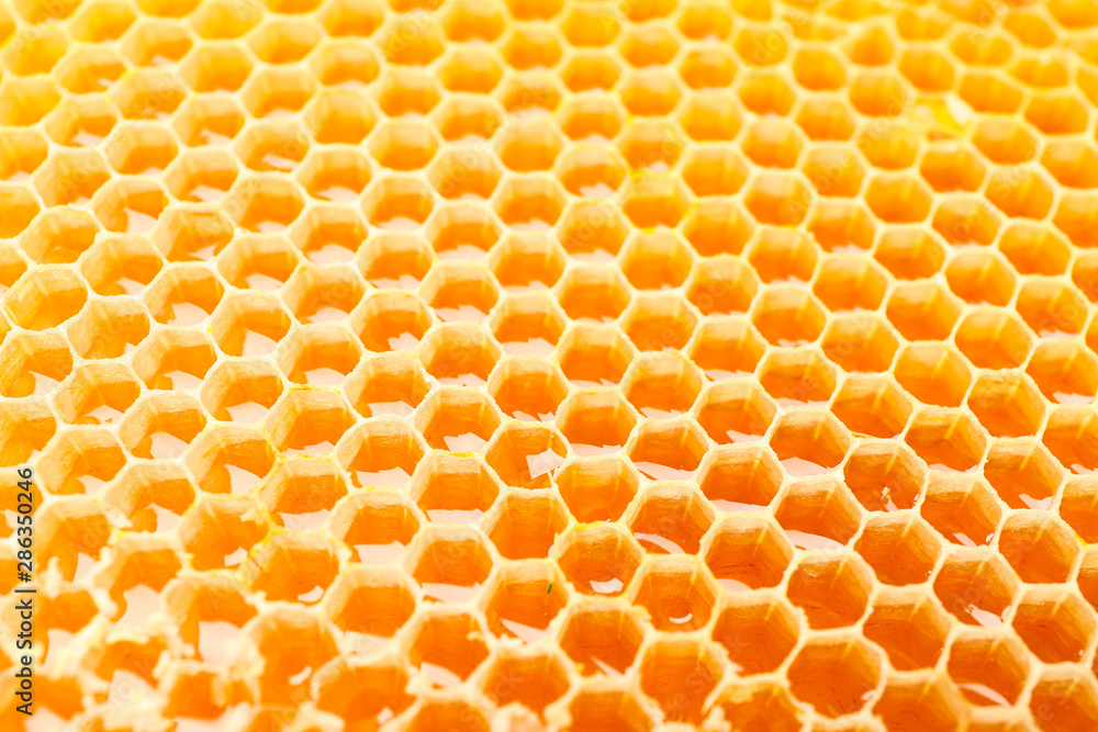 Honeycombs with sweet golden honey on whole background, close up