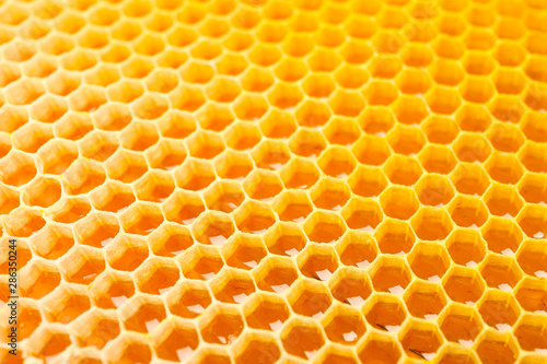 Honeycombs with sweet golden honey on whole background, close up