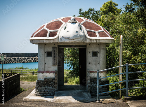 turtle shaped house