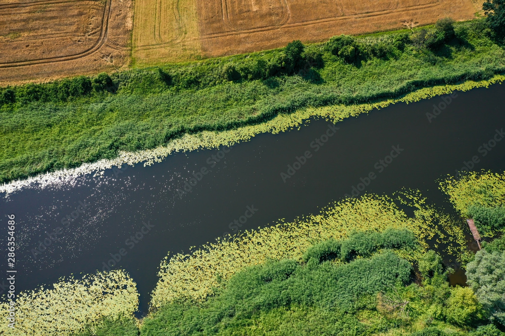 Aerial view of the river in rural area in Summer