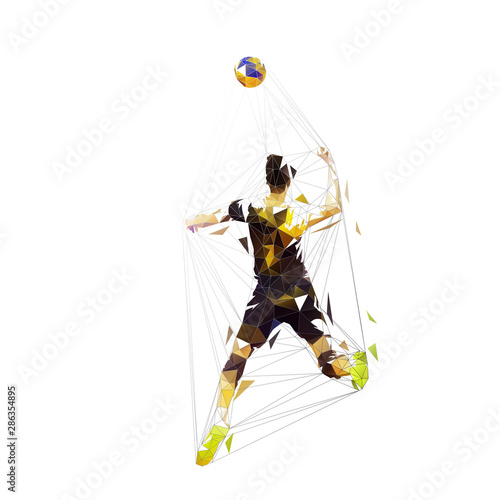 Volleyball player smashes the ball, isolated vector low polygonal illustration, geometric drawing