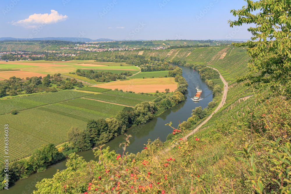 Blick über die Felsengärten Hessigheim auf Besigheim und den Neckar