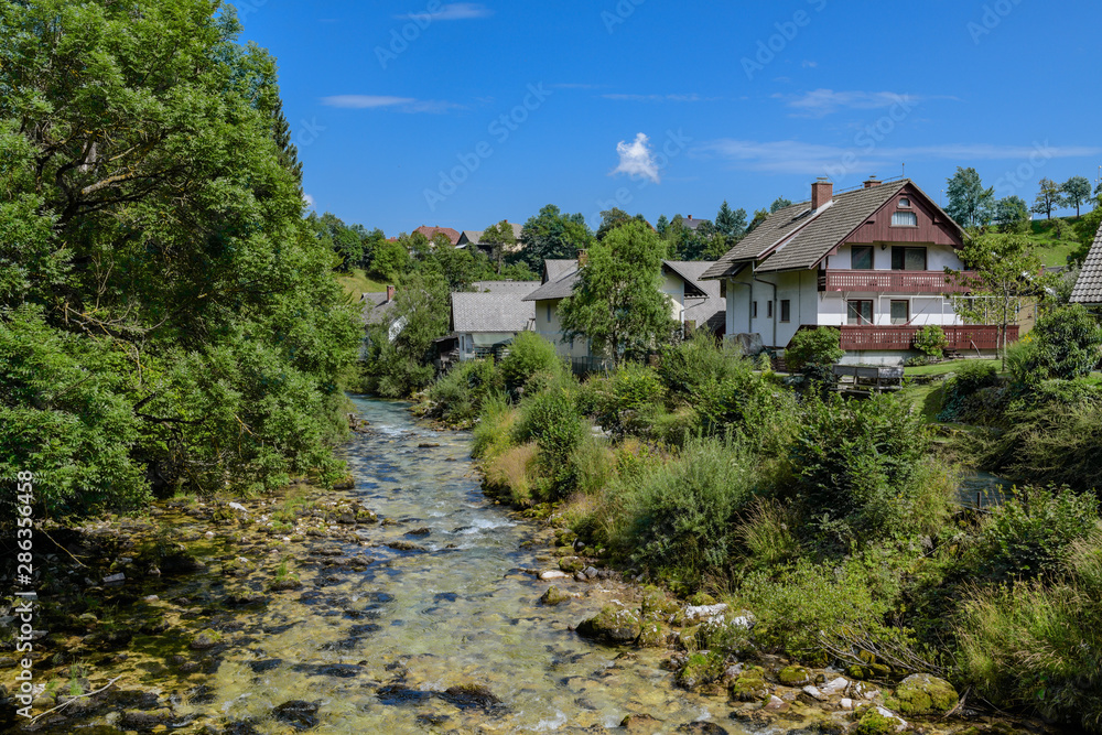 Radovna river in Bled town.