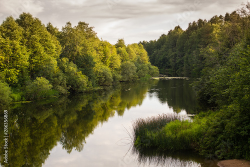 lake in forest