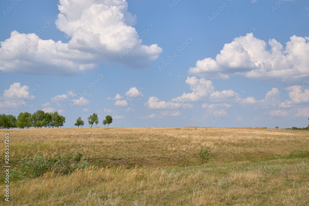 landscape of hills, trees, fields, sky, sun, cloud