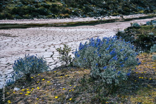 River on Santa Cruz Trek in Huscaran National Park in the Cordillera Blanca in Northern Peru  photo