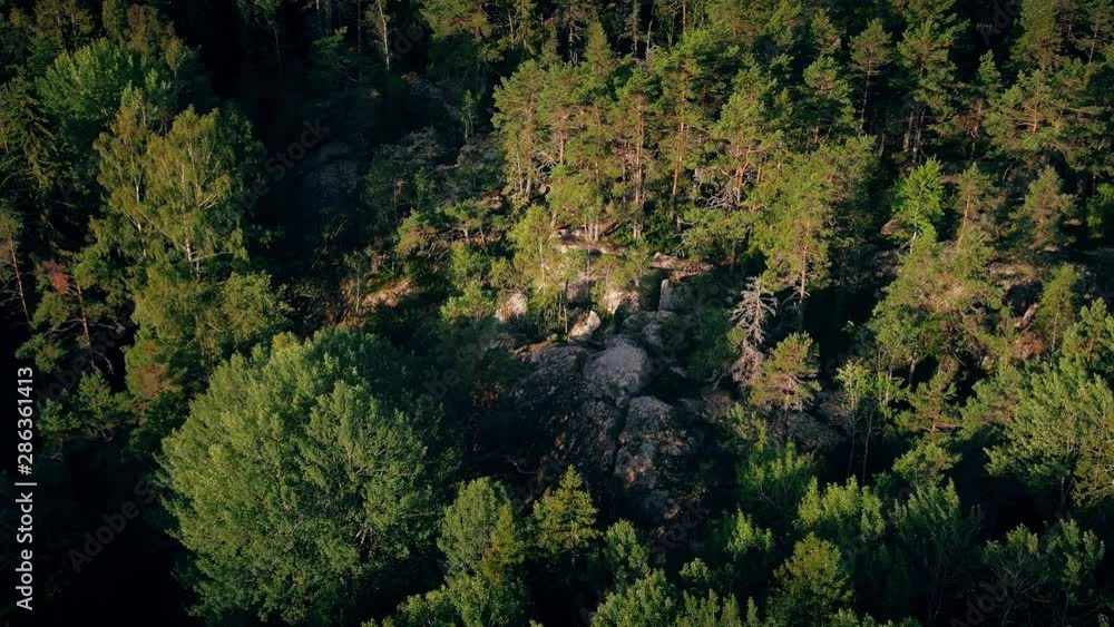 Rocky landscape hidden by tall pine trees in the forest. Aerial view from drone circling overhead. Rocky landscape hidden by tall pine trees in the forest. Aerial view from drone circling overhead.