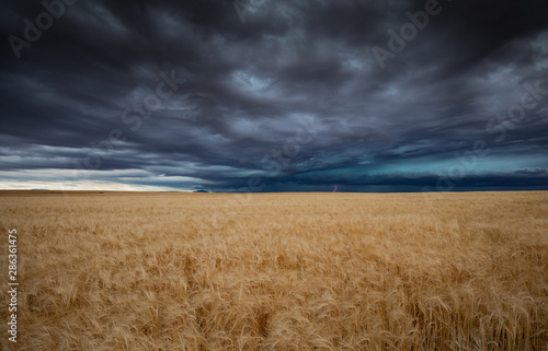 Summer storm