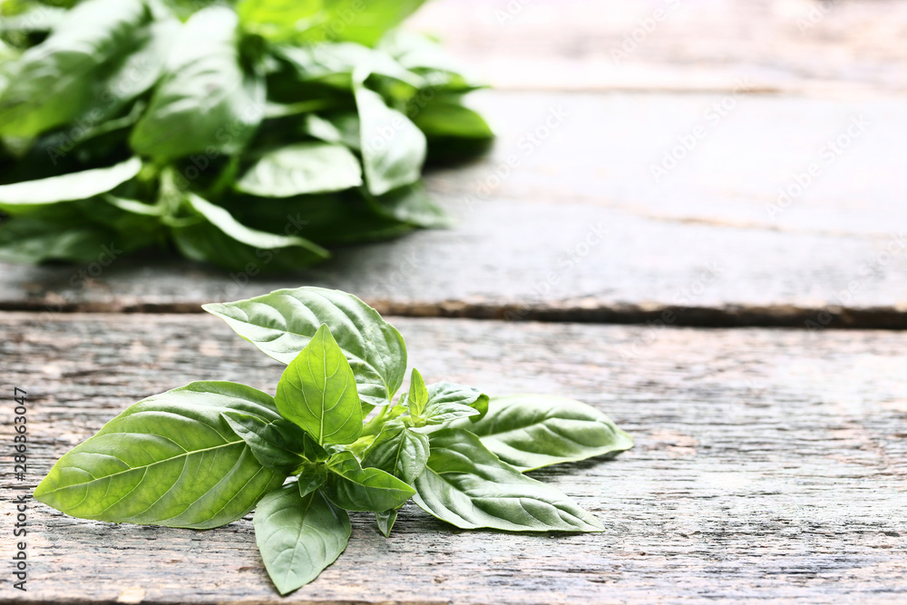 Green basil leafs on grey wooden table Green basil leafs on grey wooden table