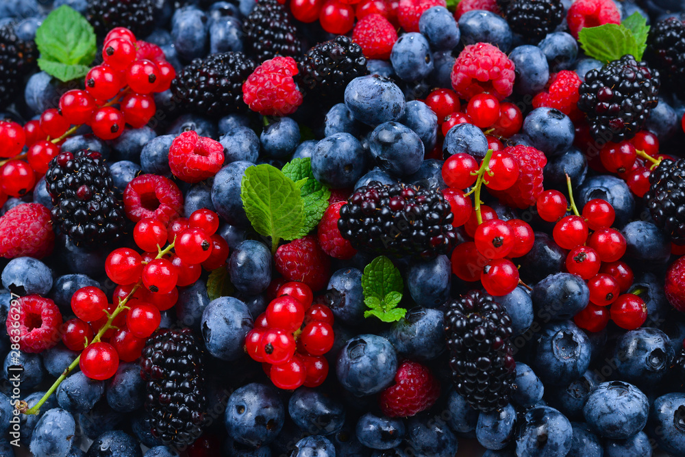 Blackberry, raspberry, blueberry,  red currant and mint background.