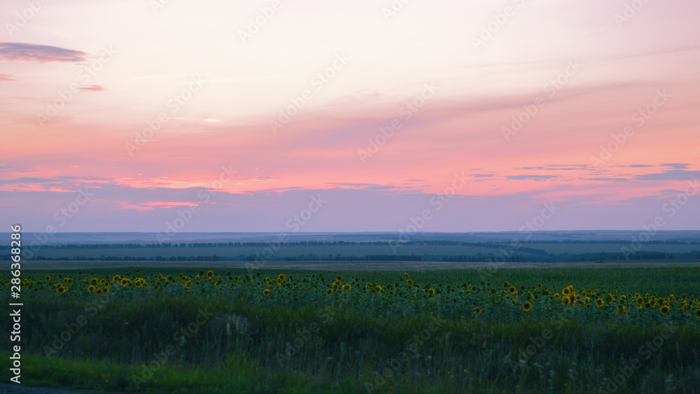 Beautiful sunset. Agricultural fields. Twilight.