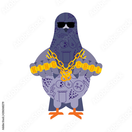 Pigeon gangster. Cool City bird. SWAG gangsta. Pigeon guy rapper