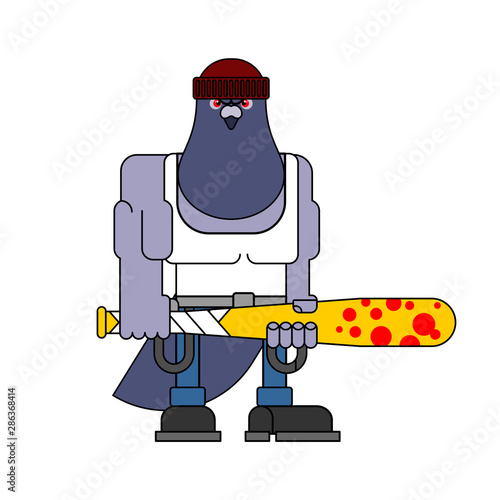Bully Dove. Hooligan pigeon. hoodlum Bird. Vector illustration