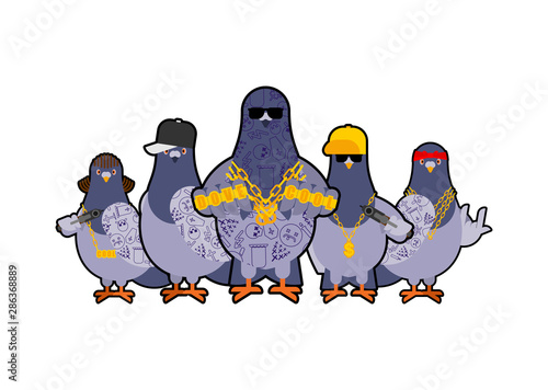 Foto Pigeon gangster gang set
