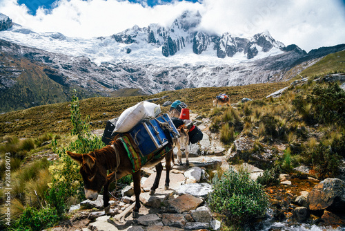 Vászonkép Santa Cruz Trek in Huscaran National Park in the Cordillera Blanca in Northern P