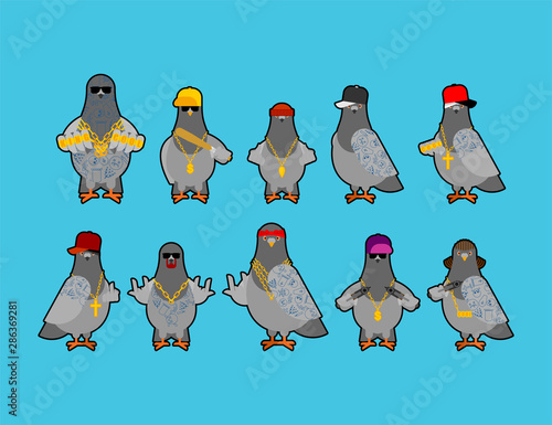 Pigeon gangster gang set. Cool City bird. SWAG gangsta. Pigeon guy rapper