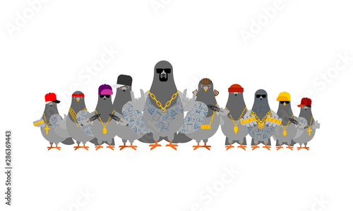 Pigeon gangster gang set. Cool City bird. SWAG gangsta. Pigeon guy rapper