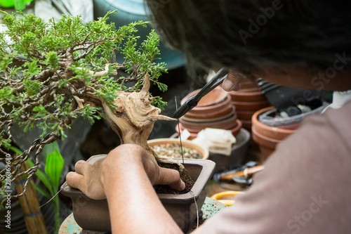Making of bonsai trees, Handmade accessories wire and scissor bonsai tools, stand of bonsai, Concept Bonsai tree.