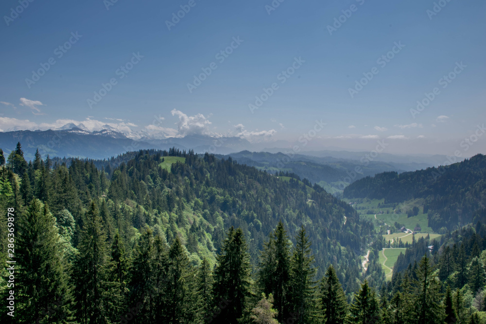View on forest in Alps, Switzerland