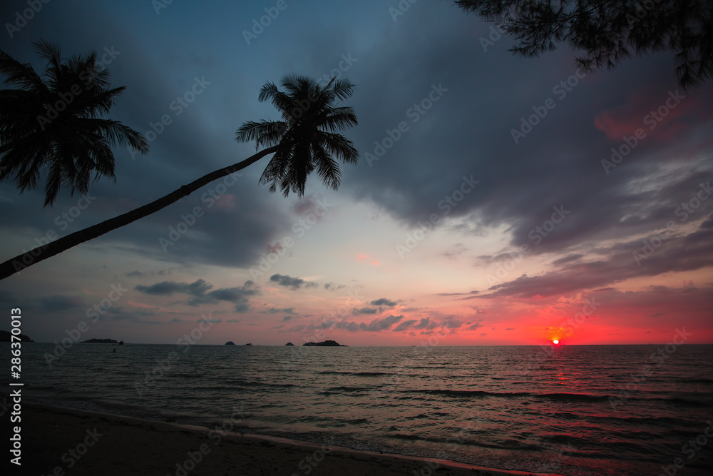 Palm trees on a tropical sea beach during amazing twilight.