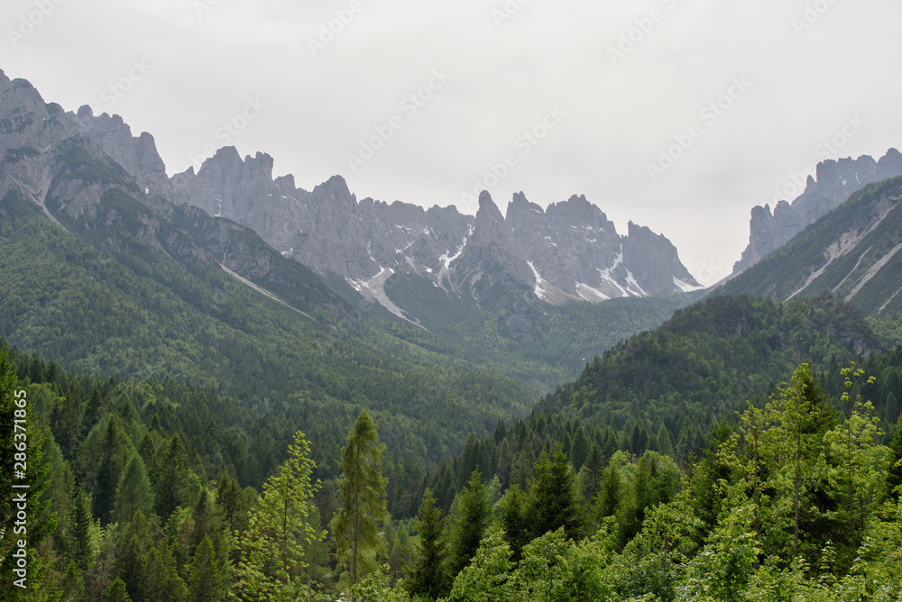 beautiful landscape from Forni di Sopra in Italy, green trees in the foreground and wild Dolomites peaks covered with snow in the background; travel photography