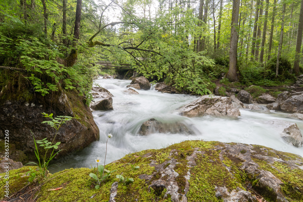Obraz premium Ramsauer Ache im Zauberwald