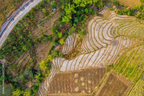 Rice Terraces, Cabagna-an Mansalanao, La Castellana, Neg. Occ., Philippines