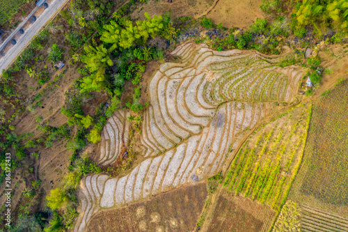 Rice Terraces, Cabagna-an Mansalanao, La Castellana, Neg. Occ., Philippines