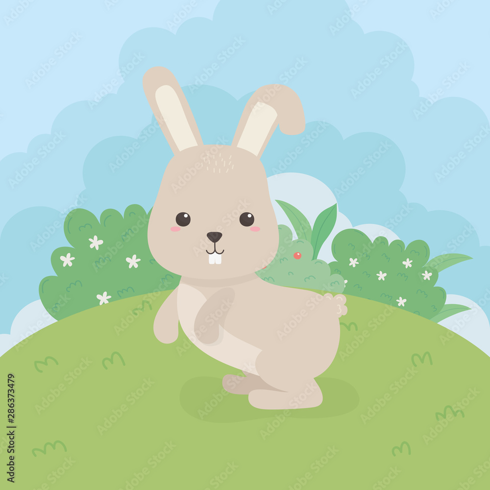 cute rabbit animal farm character cute rabbit animal farm character