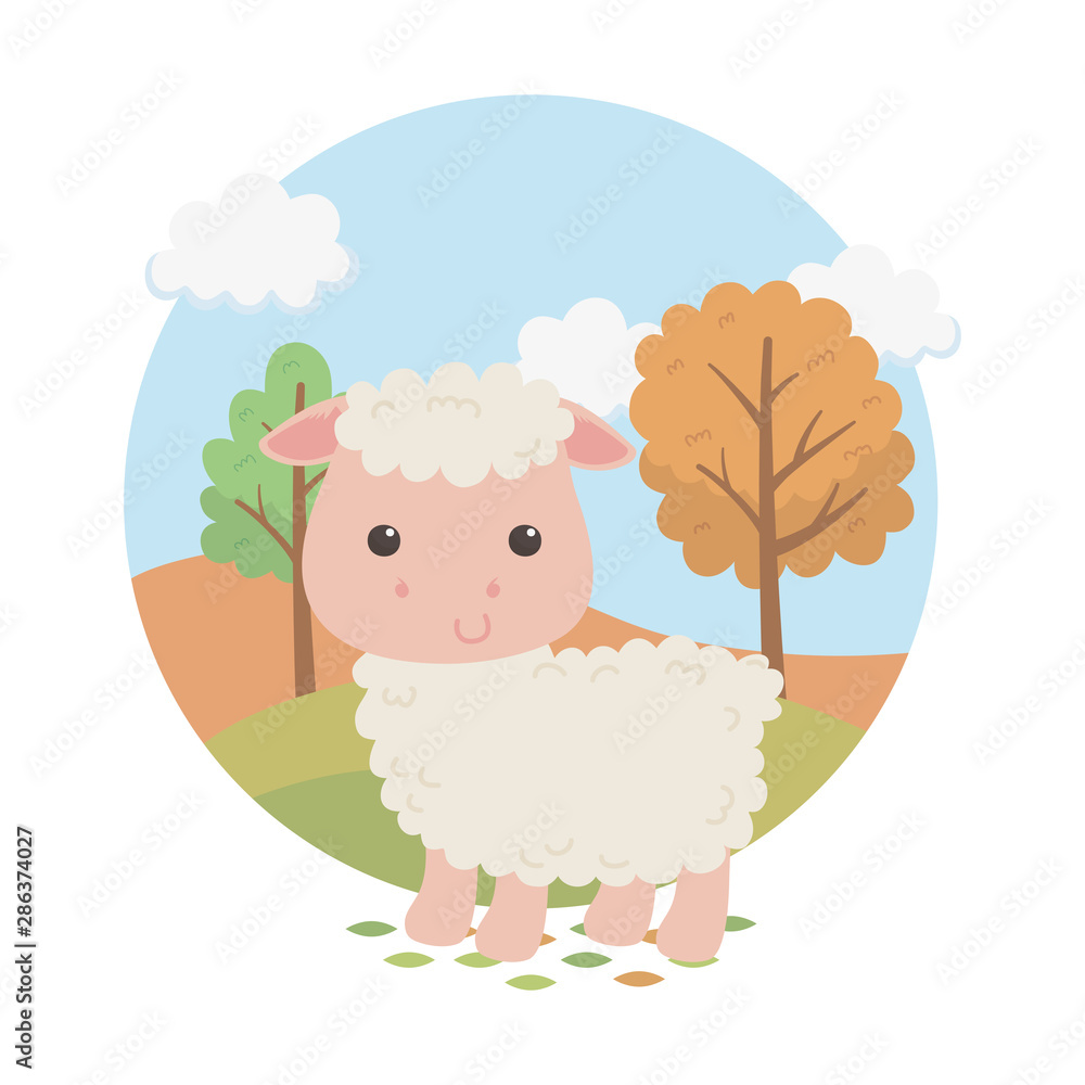 Obraz premium cute sheep animal farm character
