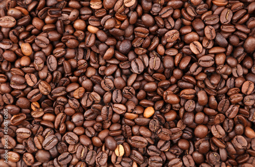 Coffee beans close-up