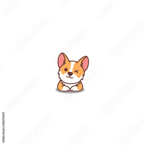 Cute corgi dog winking eye, vector illustration