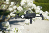 springtime in bavaria with a picture of a drone flying in the garden