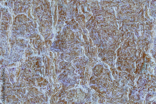 Seamless abstract texture of blue-gray color. Rifts of the earth. Cracks on the paint.