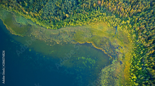 Fototapeta Naklejka Na Ścianę i Meble -  Aerial landscape from the drone - coastline