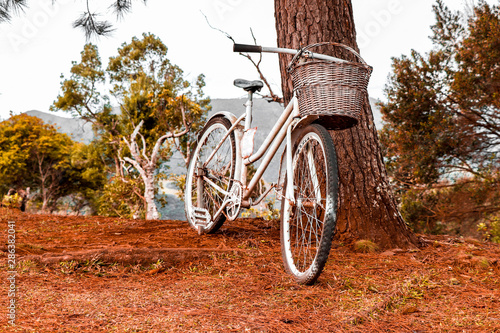 old bicycle in the park