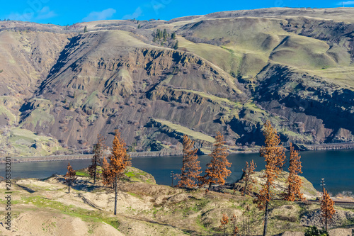 Columbia River Gorge, between Oregon and Washington states. Pictures are Columbia River Basalt rock.