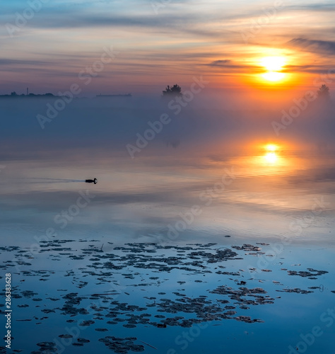 Sunrise with the mist above a river,  summer morning in Jurmala - famous tour...
