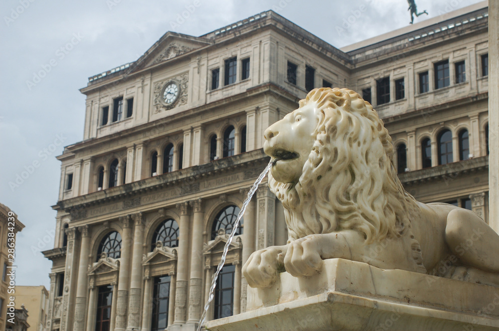 Lion statue in front of a building